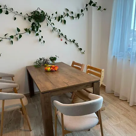 Luxury Oasis Pensiune Cluj-Napoca